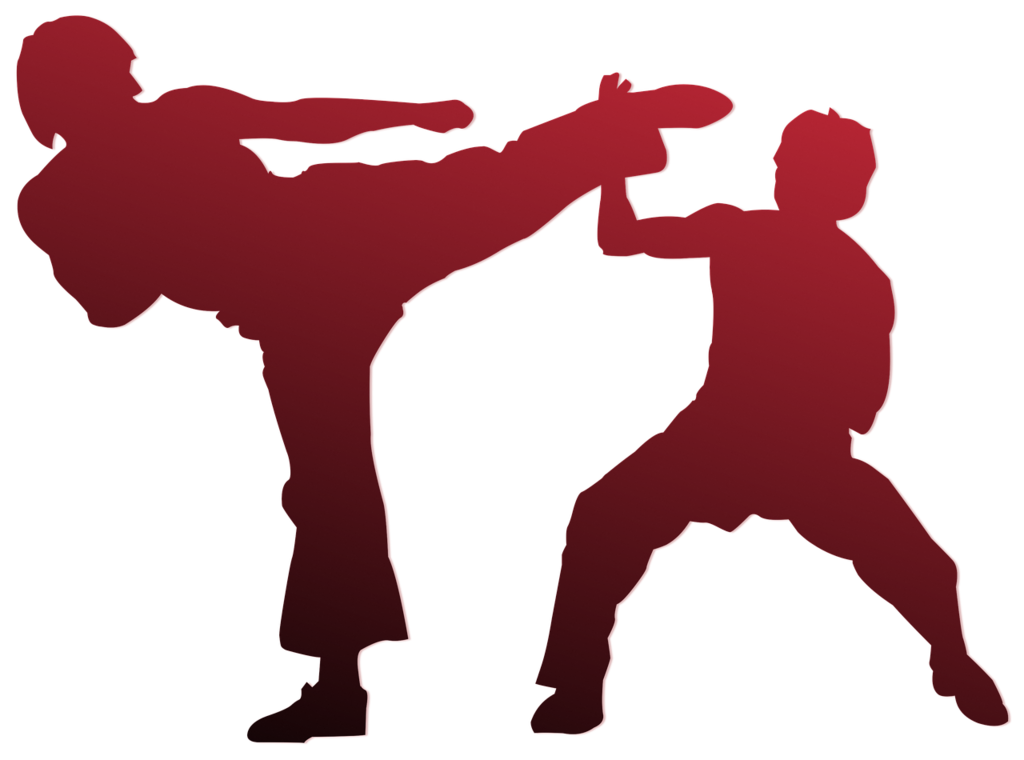Chiêu sinh lớp võ Karate tại Dn5sao Group