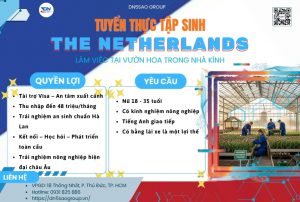 Thực tập sinh Hà Lan